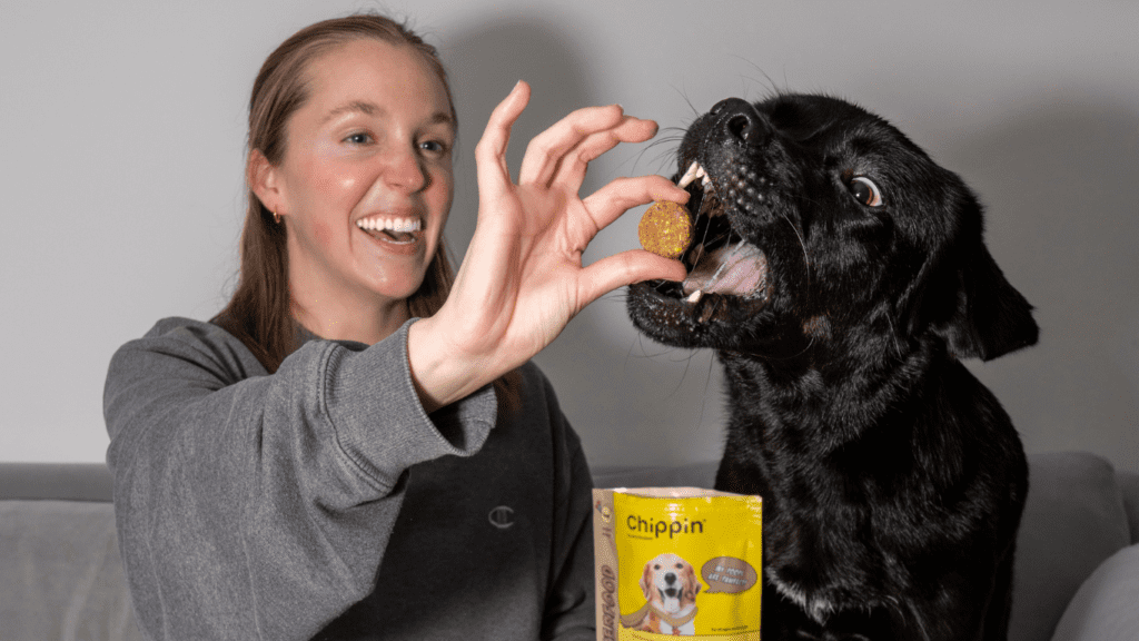 The Smart Pet Owner’s Choice- Why Bulk Dog Bones Are a Game-Changer for Your Dog’s Health