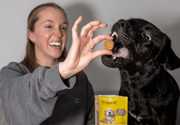 The Smart Pet Owner’s Choice- Why Bulk Dog Bones Are a Game-Changer for Your Dog’s Health