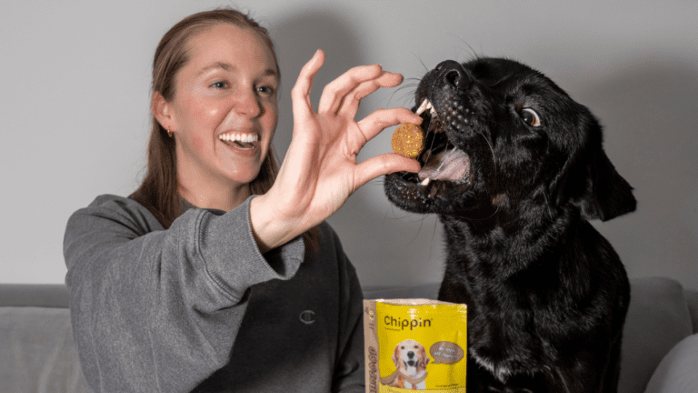 The Smart Pet Owner’s Choice- Why Bulk Dog Bones Are a Game-Changer for Your Dog’s Health